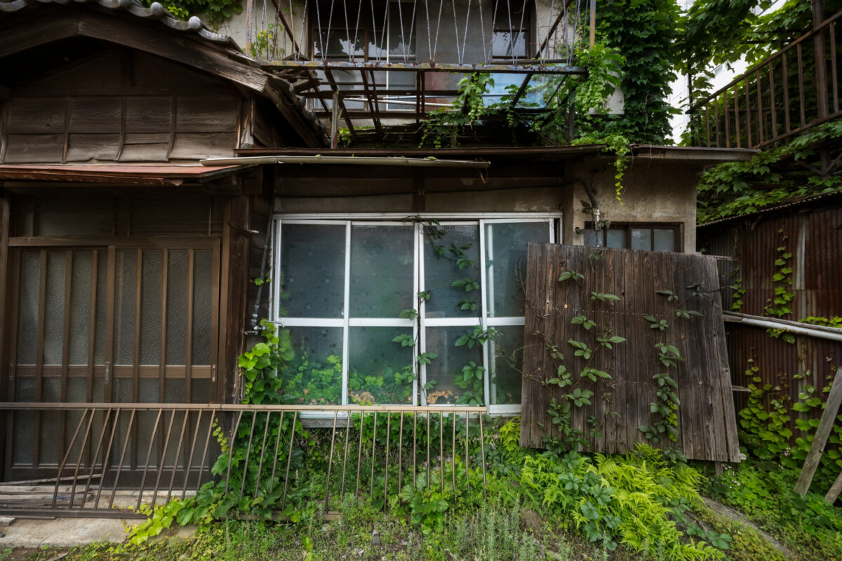 Dang house01